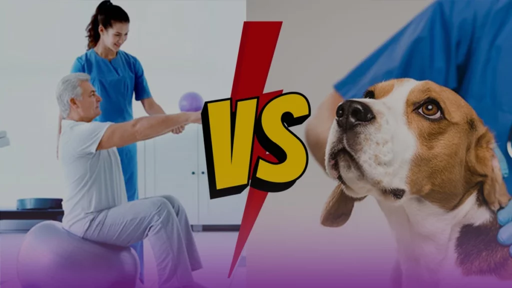 فیزیوتراپی یا دامپزشکی