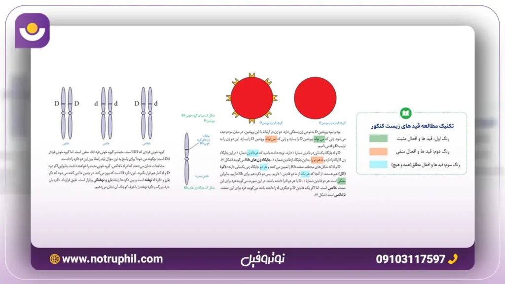 تکنیک مطالعه قید های زیست کنکور