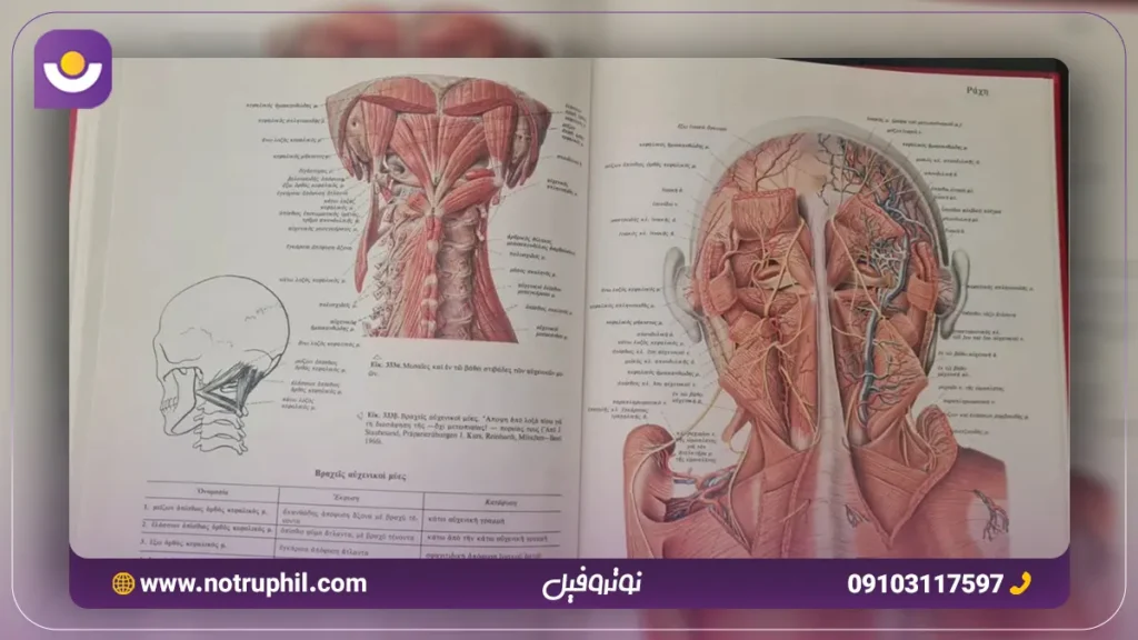 تحلیل شکل های زیست کنکور